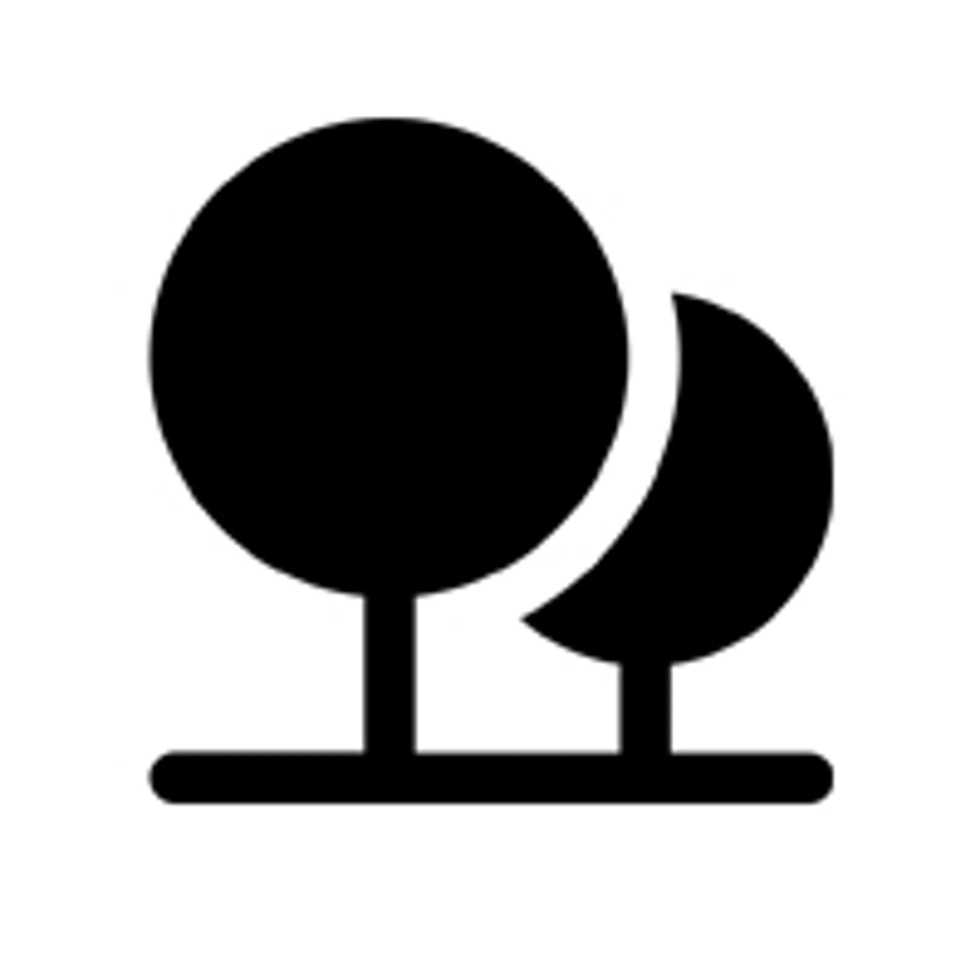 PALM