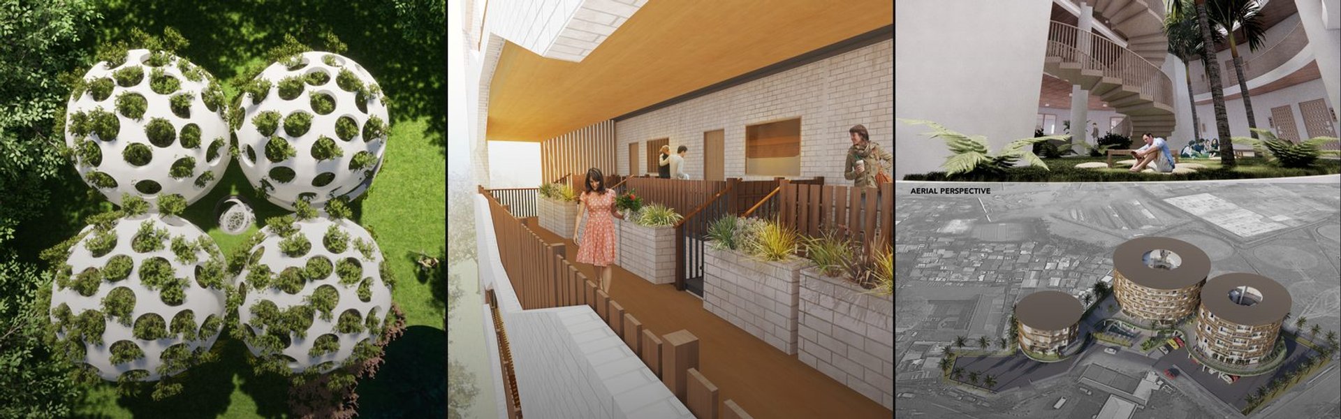 Co-Living cover