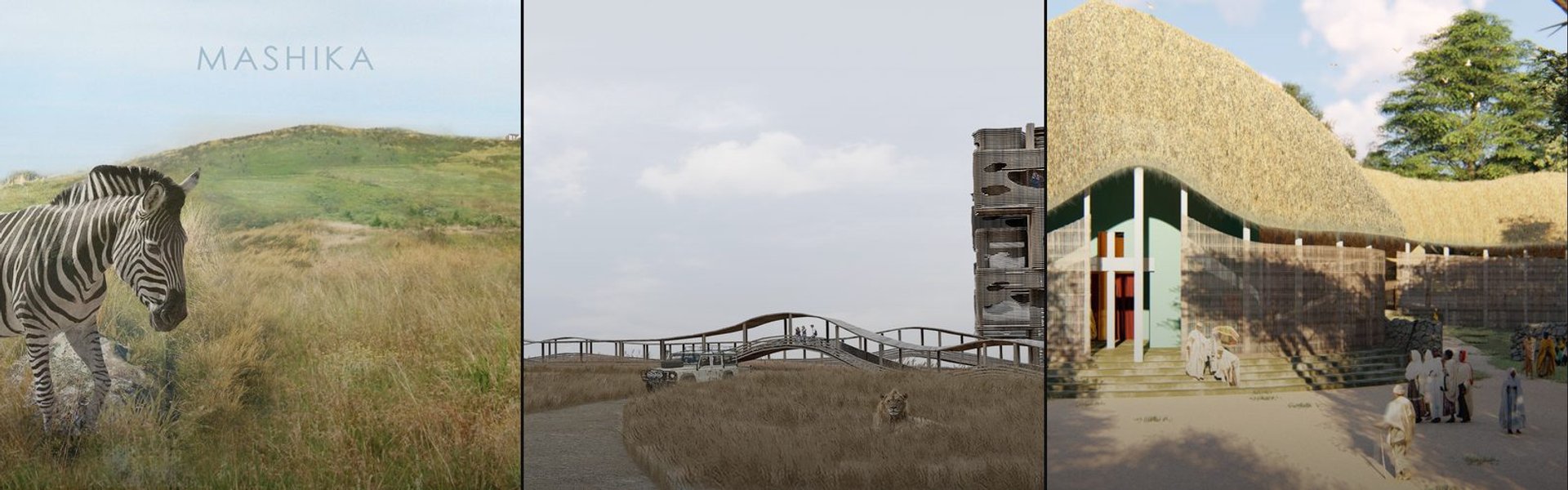 African Architecture cover