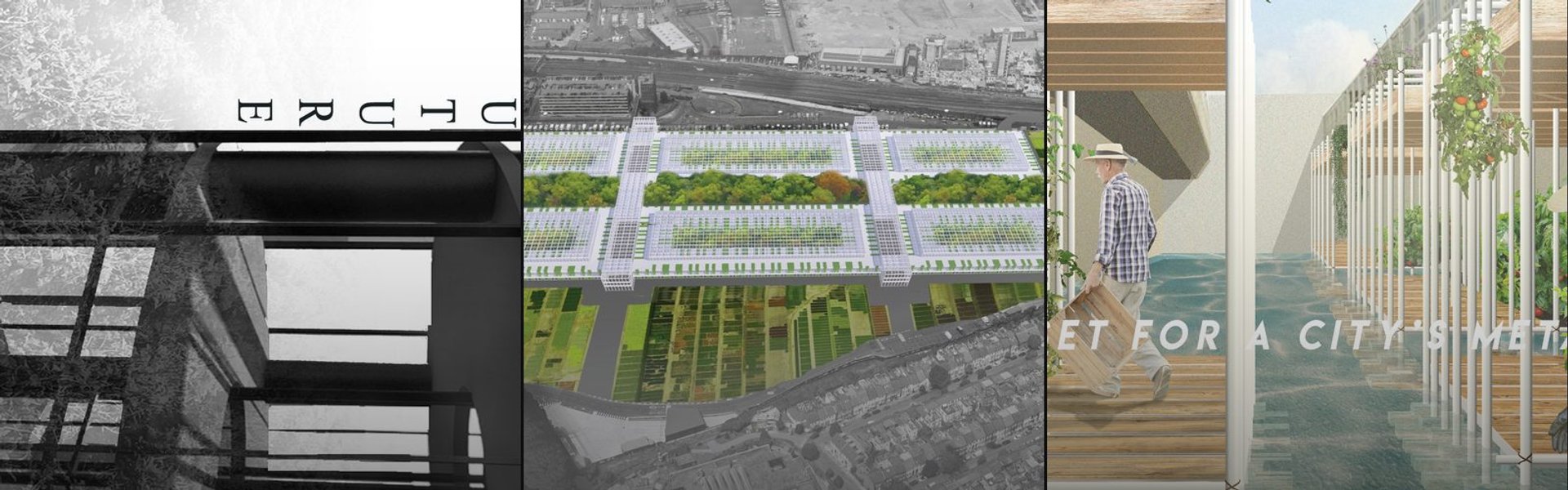 Green Cities cover