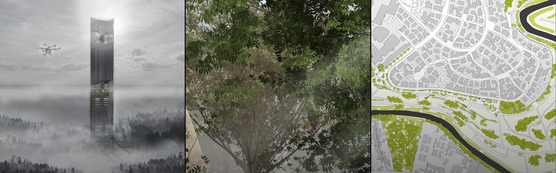 Forest cover