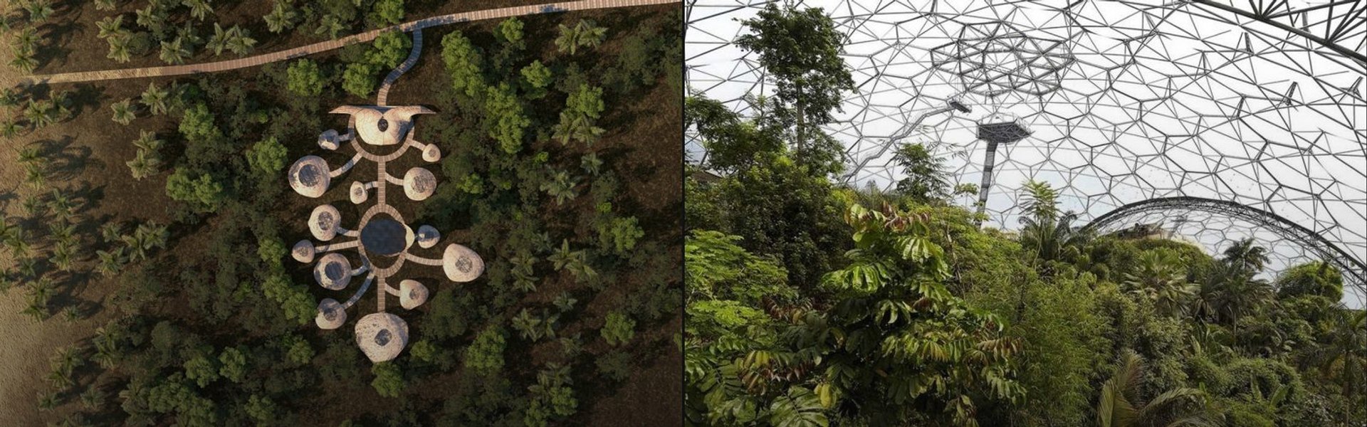 Natural System cover