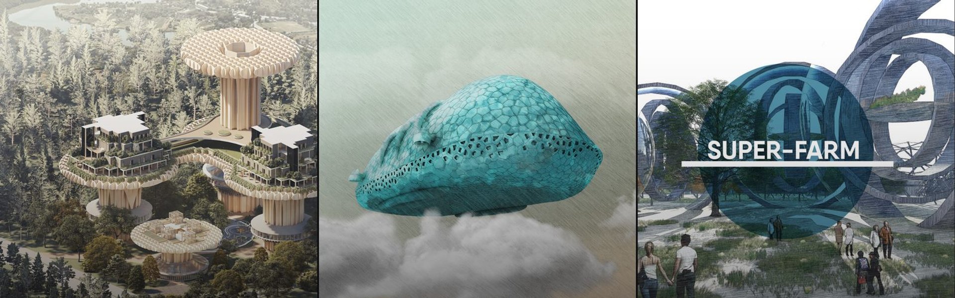 Sustainable Future cover