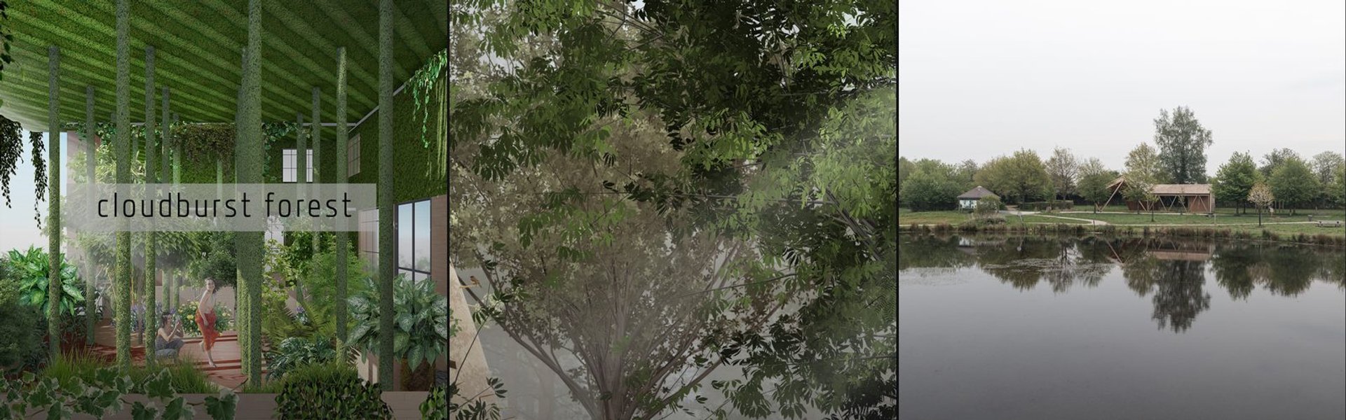 Pocket Forest cover