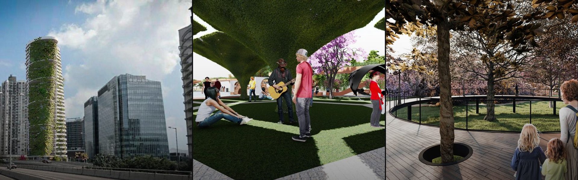 Urban Forest cover