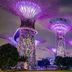 Sustainable Design icon