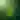 Biophilia icon