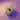 Blender icon