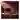 Library icon