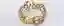 Phenotype Algorithmic bracelet