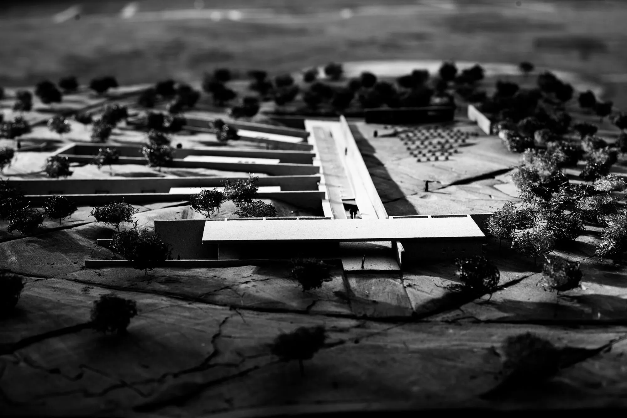 Between Memory and Oblivion: Mourning courses