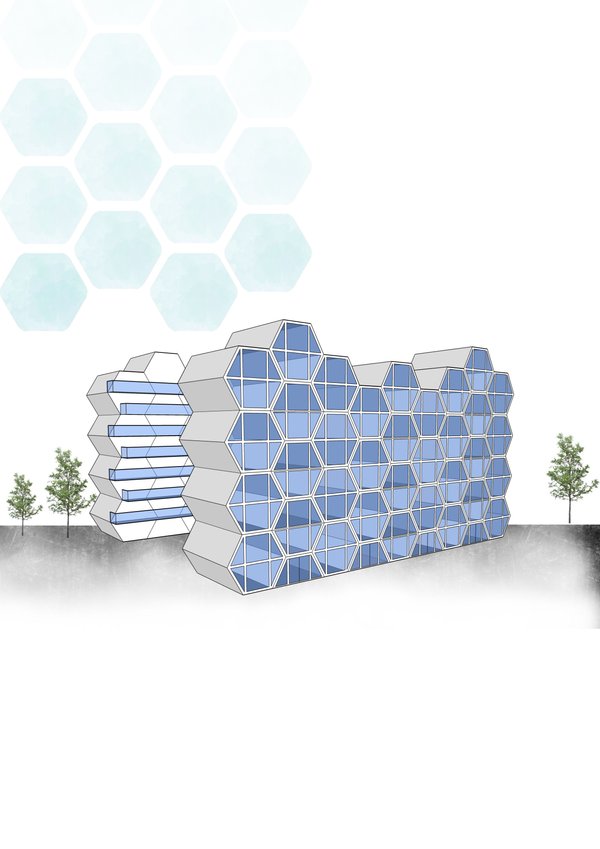 Hex City