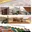 Sustainable Cities