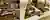 Tranquillising Temperaments through Architecture