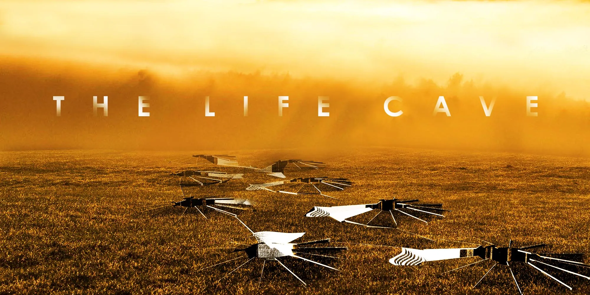 The Life Cave