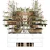 Forest Garden icon