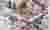Entomomaniac