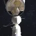 Toroidal Station icon