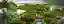 The Growing Citadelle