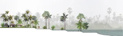 This architectural section depicts a tropical landscape with a waterfront. The design incorporates t