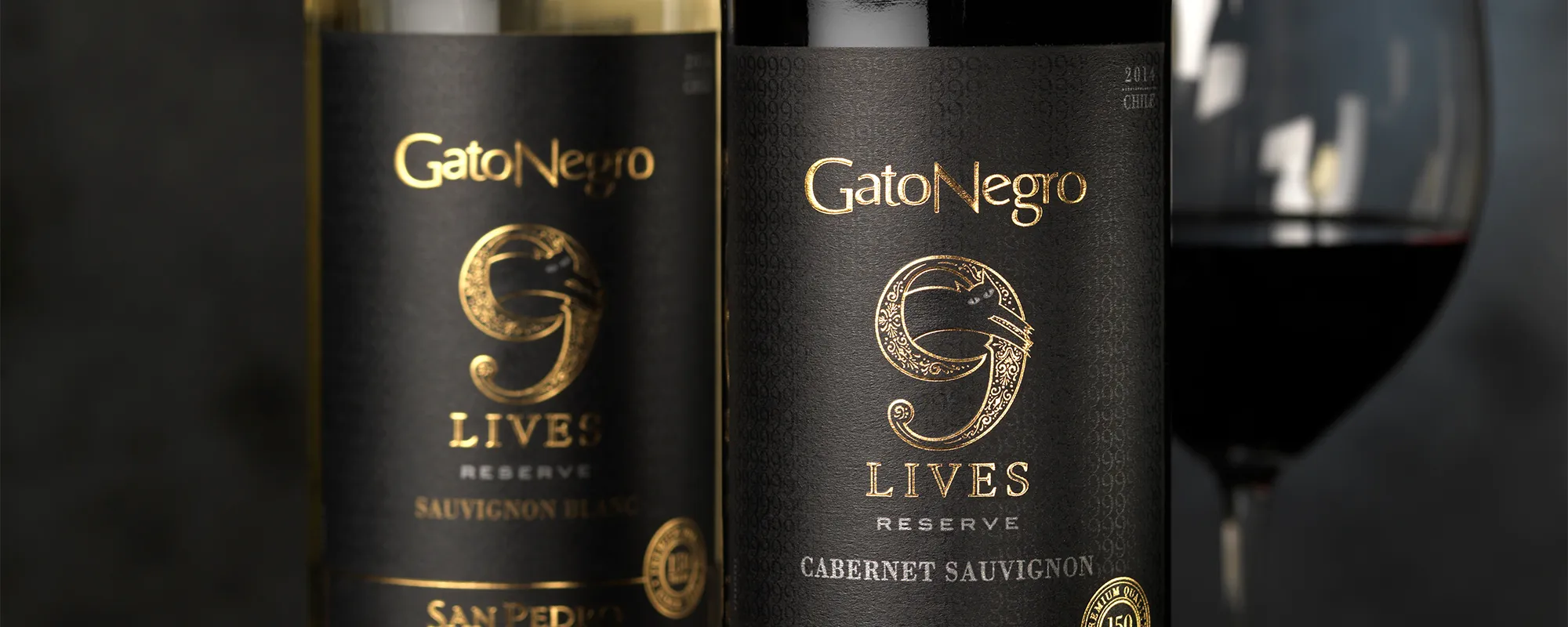 Gato Negro