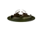 Evolution to time - various materialities to return to the beginning.