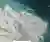 else