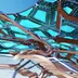 Biomimicry icon