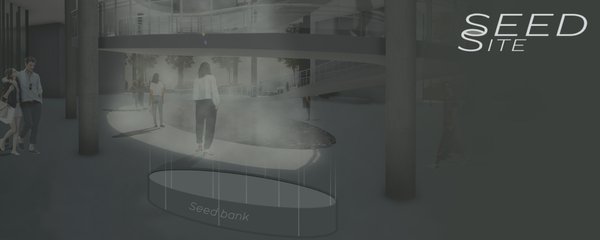 Seed Site