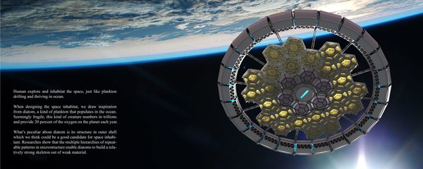 Diatom