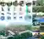 concept of developing tourism in Abkhazia