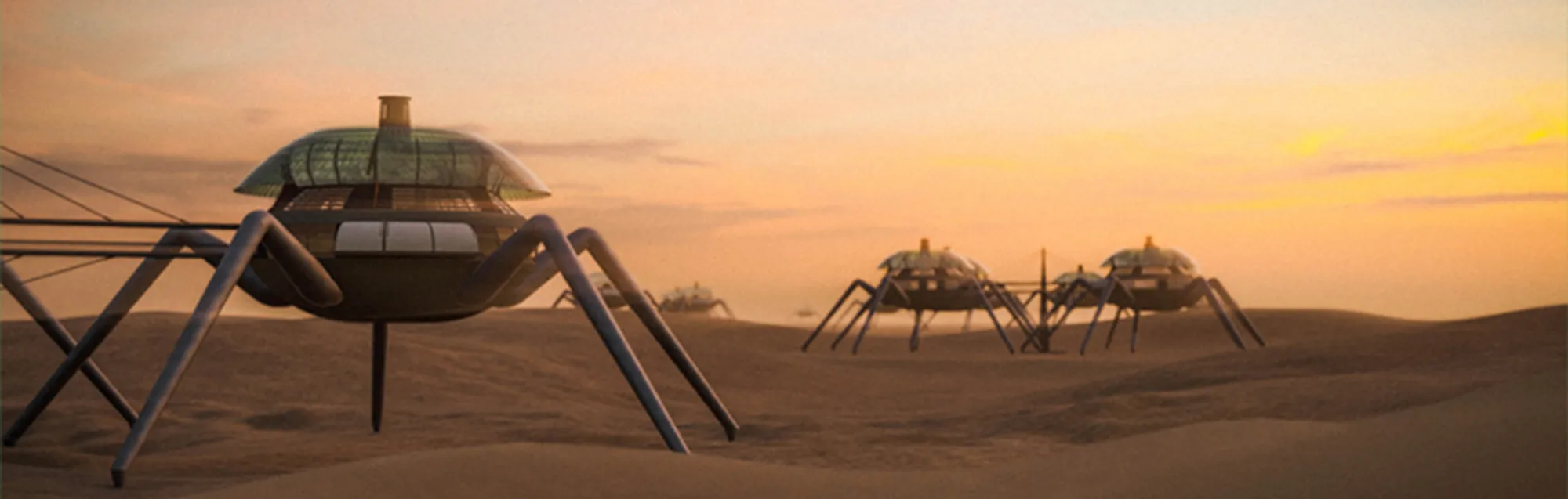 The Spider