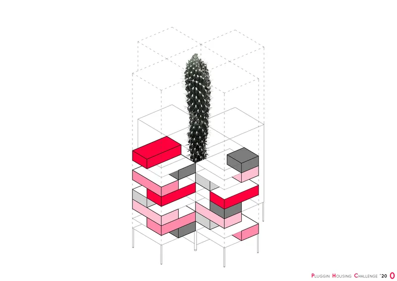 Cactus adaptability