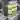 Vertical Parking icon