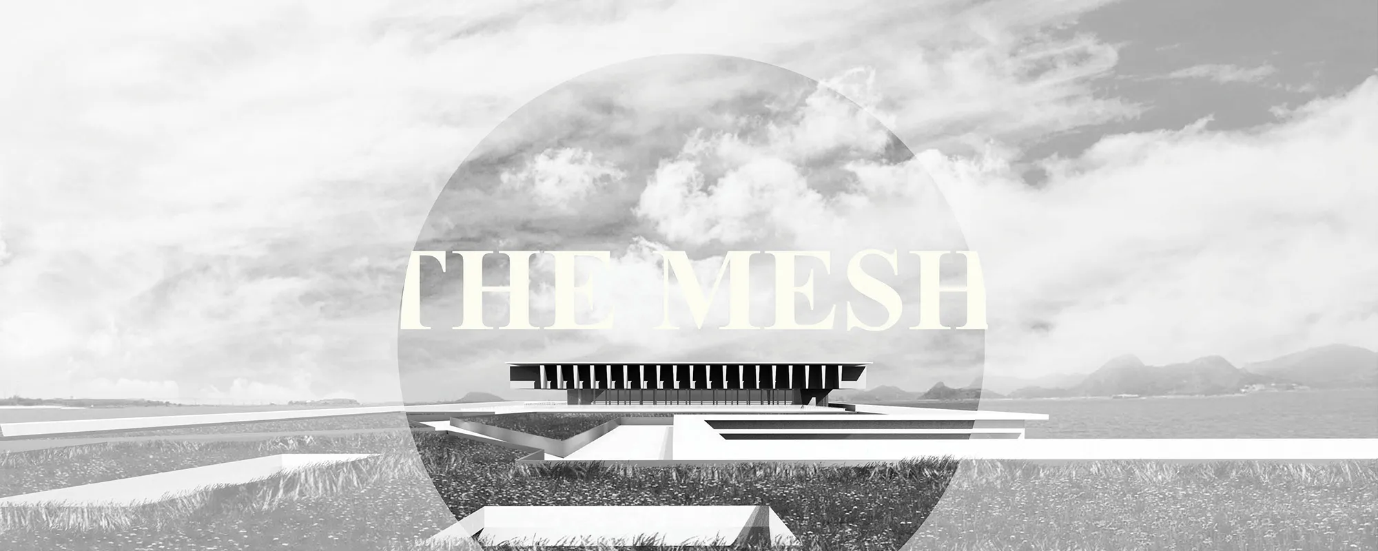 THE MESH
