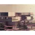 Landscape Architecture icon