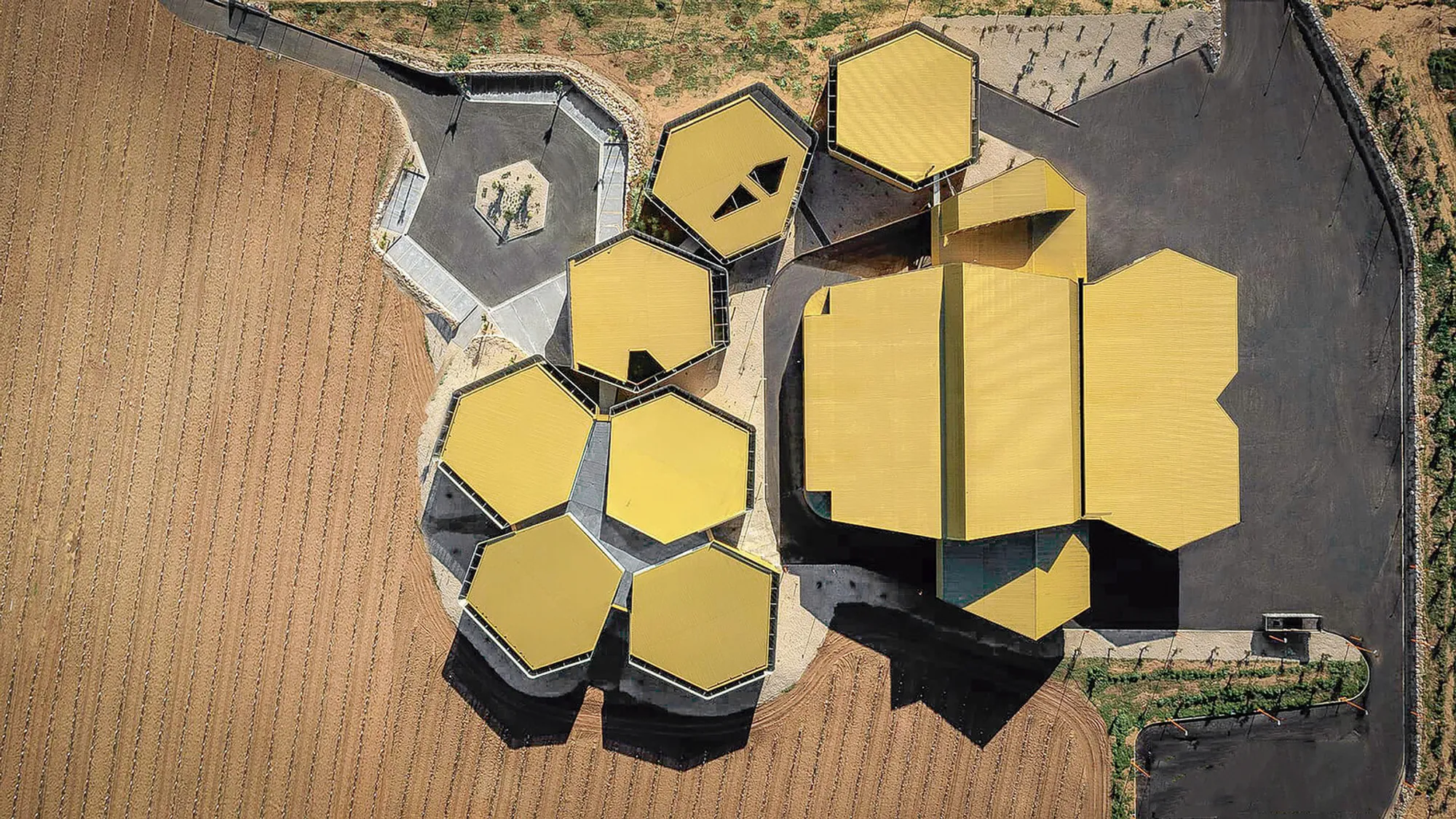 Hexagonal Modular Design in Industrial Architecture: Almazara Acesur by Mollinedo Arquitectura