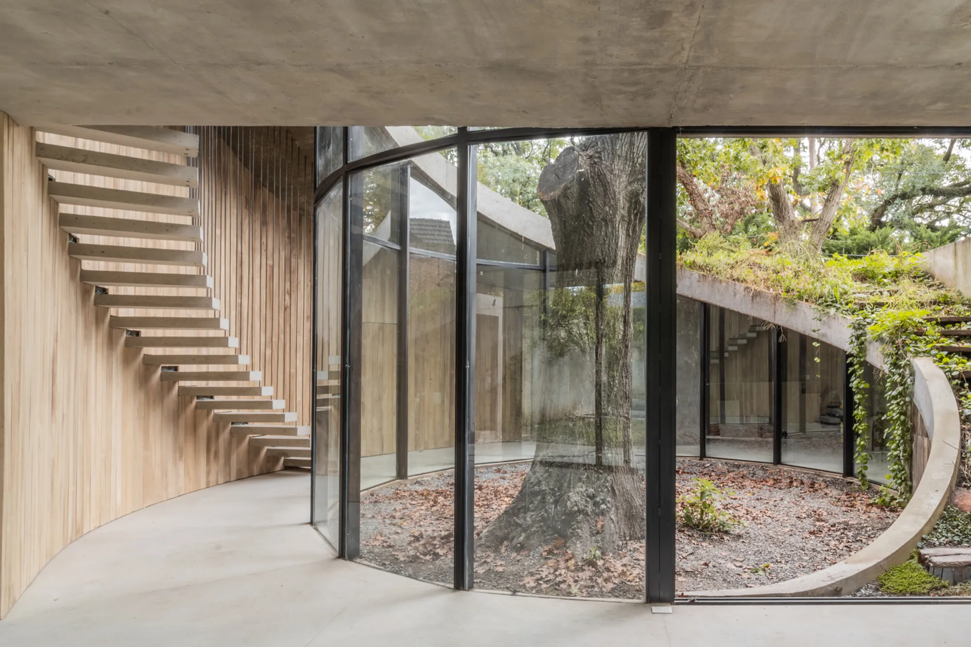 House Design Around a Tree: The LuMa House by AtelierM