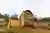 Brick House Architecture in Ecuador: The Bread Oven House by Taller General and ERDC Arquitectos