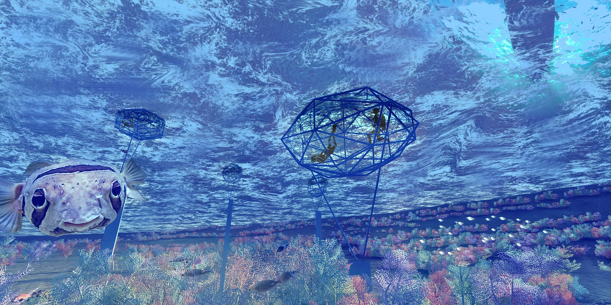 DIVE-5