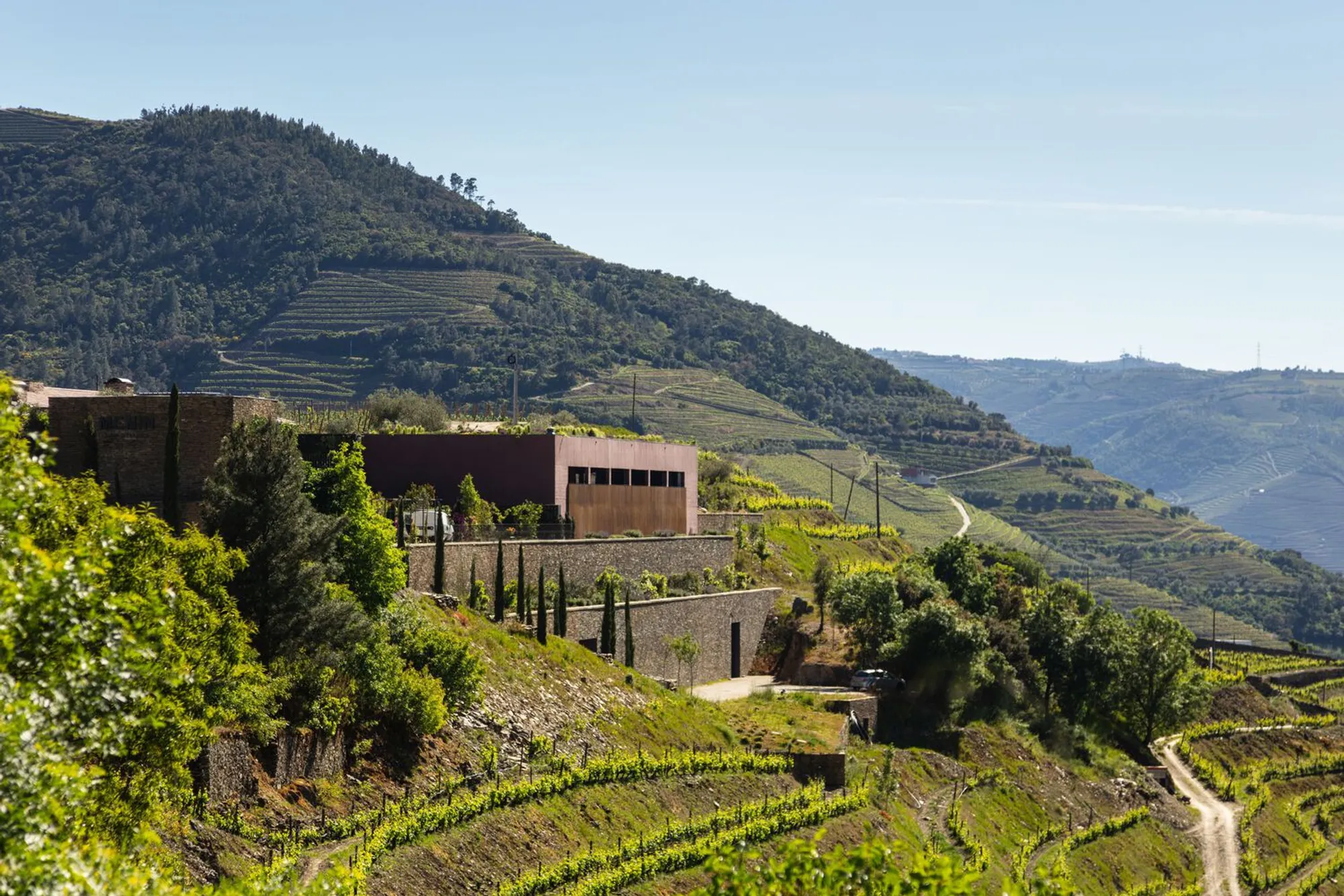 Sustainable Winery Architecture: The Design of Adega Menin Wine Company