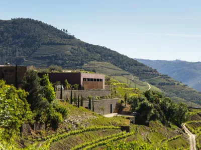 Sustainable Winery Architecture: The Design of Adega Menin Wine Company