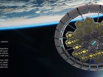 Space Architecture Inspired by Diatoms: A Vision for the Future
