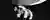 MANHATTAN n.2: The Future of Space Architecture