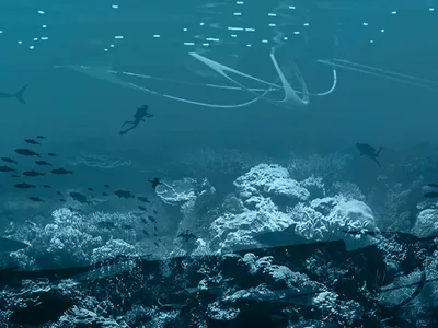 Underwater Sanctuaries