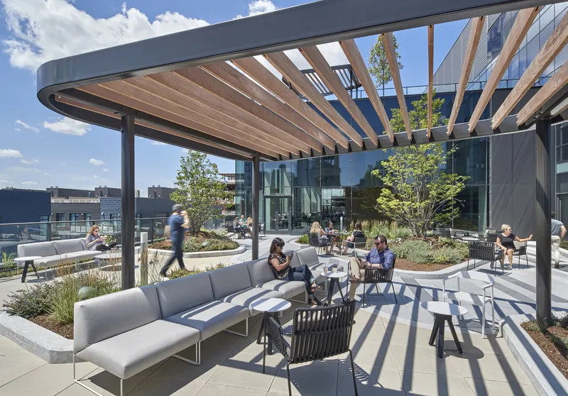 Rooftop terrace with timber pergola and planted beds under a blue summer sky