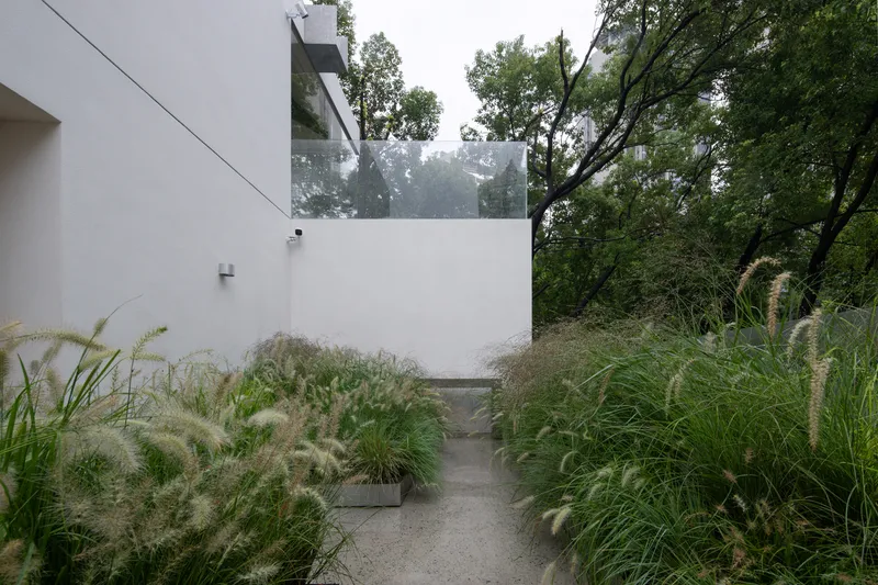 Garden path: white walls, glass balustrade, ornamental grasses, misty rain, mature trees, concrete steps