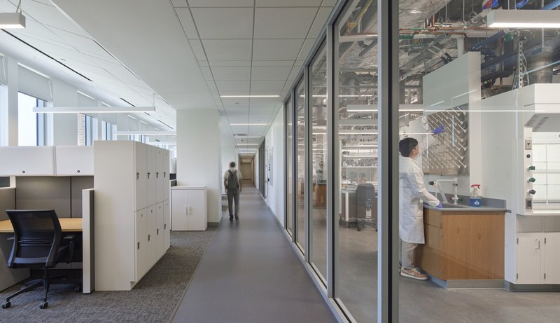 Laboratory corridor with glass partitions revealing researchers at work benches under fluorescent ceiling panels