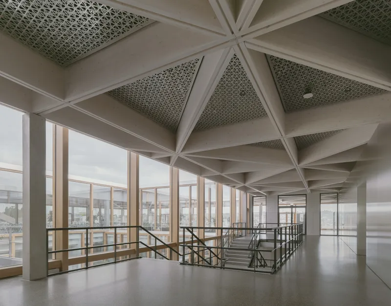 Interior circulation space with vaulted ceiling structure featuring perforated green acoustic panels and timber-framed windows
