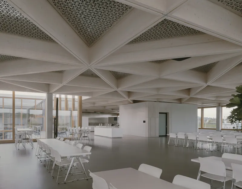 Cafeteria interior with white furniture beneath a geometric ceiling grid and glazed timber frame walls